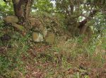 写真：Ruins of Manabe Castle