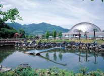 写真：Kasaoka Municipal Horseshoe Crab Museum