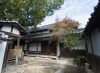 写真：Manabe Residence and the Elaeocarpus Sylvestris