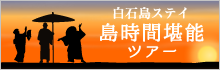 白石島ステイ 島時間堪能ツアー