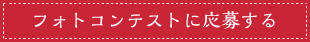 フォトコンテストに応募する