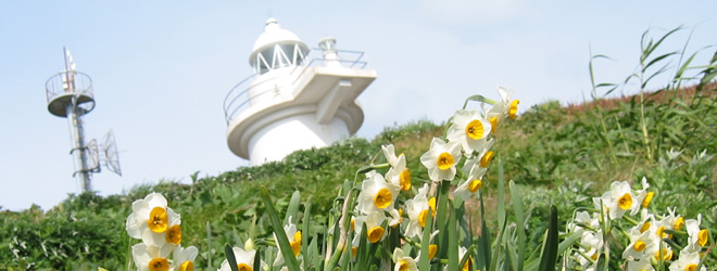 写真：六島