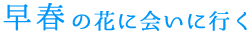 早春の花に会いに行く