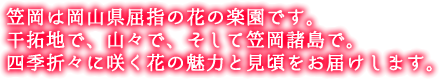 笠岡は岡山県屈指の花の楽園です。干拓地で、山々で、そして笠岡諸島で。四季折々に咲く花の魅力と見頃をお届けします。