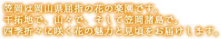 笠岡は岡山県屈指の花の楽園です。干拓地で、山々で、そして笠岡諸島で。四季折々に咲く花の魅力と見頃をお届けします。