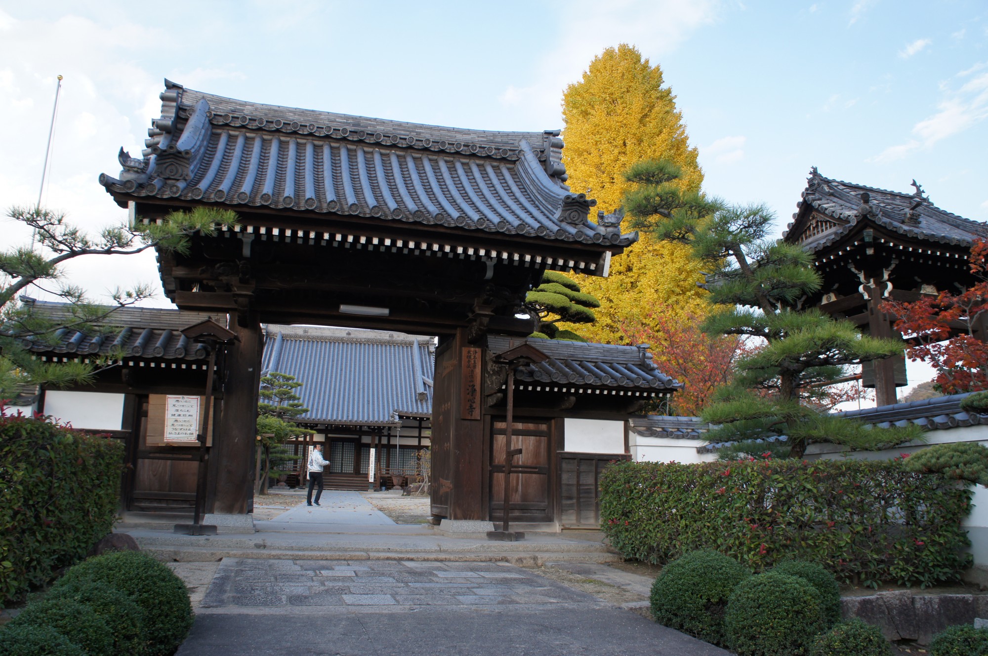 写真：浄心寺