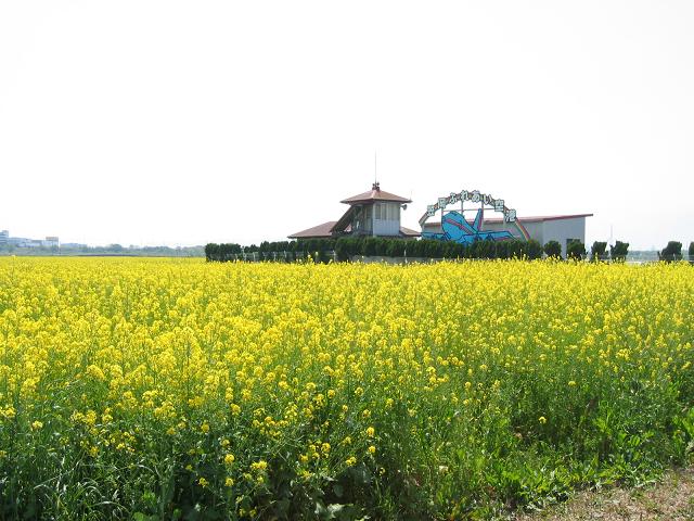 写真：笠岡ふれあい空港（農道空港）