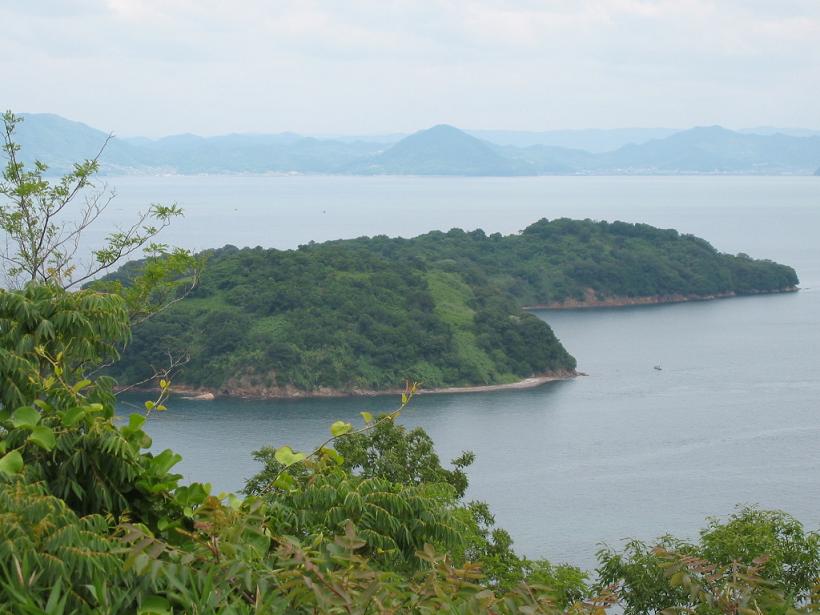 写真：城山展望台