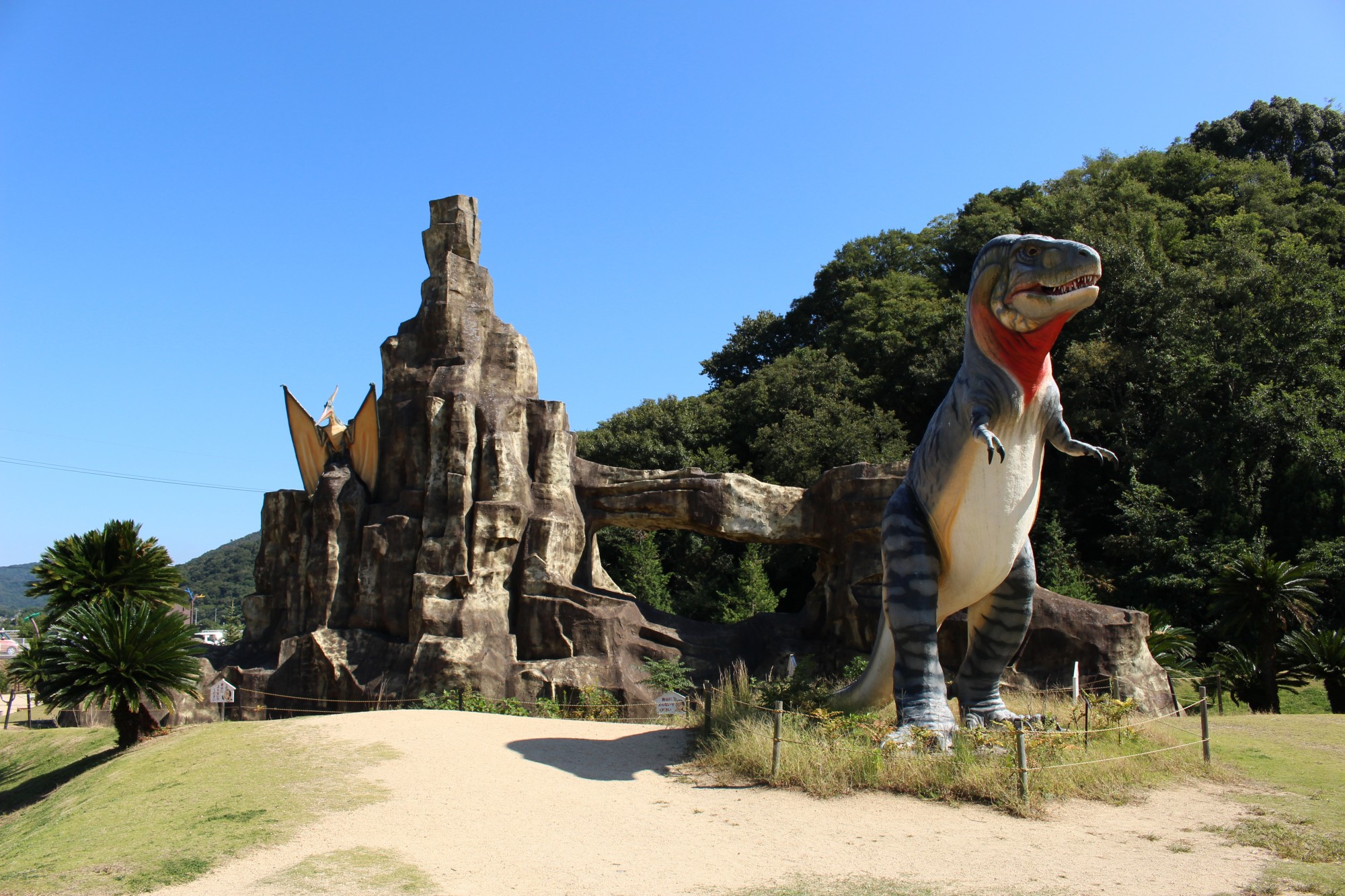 カブトガニと 知る を楽しむ旅 モデルコース またたび笠岡 笠岡市観光協会