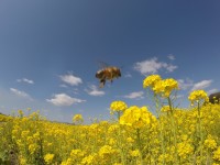 写真：優秀賞