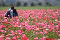 写真：最優秀賞