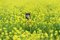 写真：優秀賞