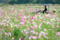 写真：議長賞