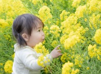 笠岡フォトギャラリー またたび笠岡 笠岡市観光協会