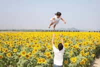 写真：最優秀賞