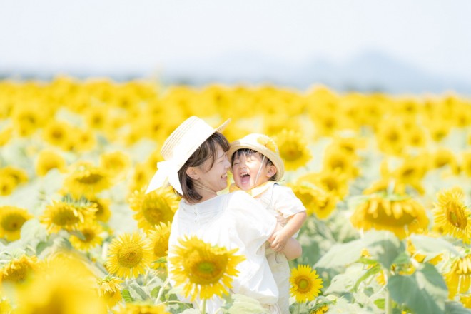 ひまわりフォトコンテスト2020｜笠岡フォトギャラリー｜またたび笠岡
