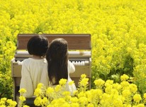 写真：菜の花フォトコンテスト2021