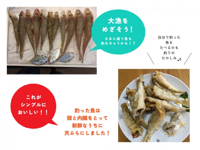 ハゼ釣り③