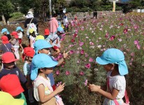 写真：あそびばみーつけた～もちのえ四季の花畑～