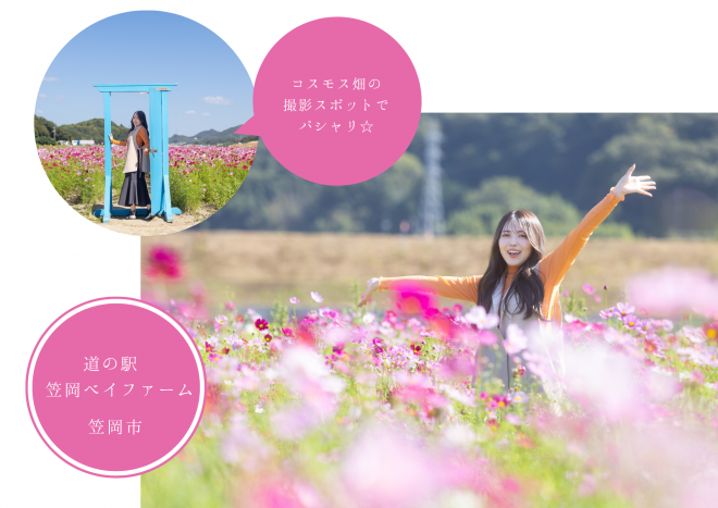 道の駅笠岡ベイファーム ぐるっといかさモバイルポイントラリー2025 モデルコース