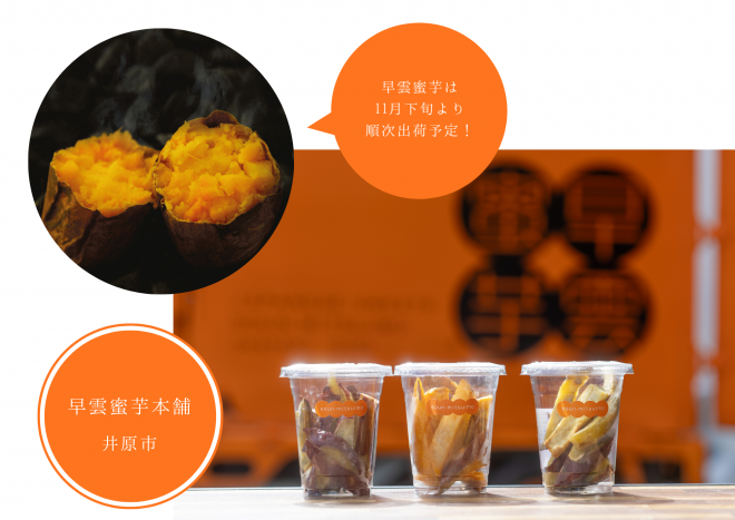 早雲蜜芋本舗 ぐるっといかさモバイルポイントラリー2025 モデルコース