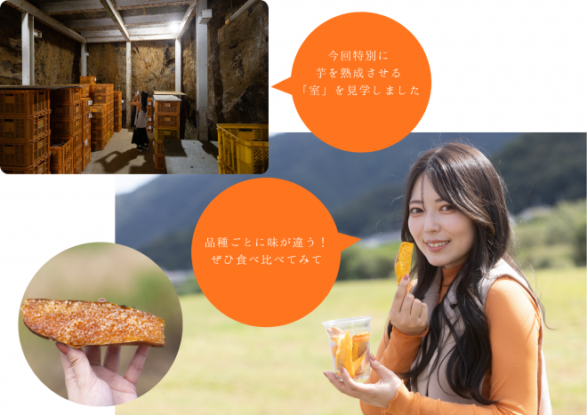 早雲蜜芋本舗 ぐるっといかさモバイルポイントラリー2025 モデルコース