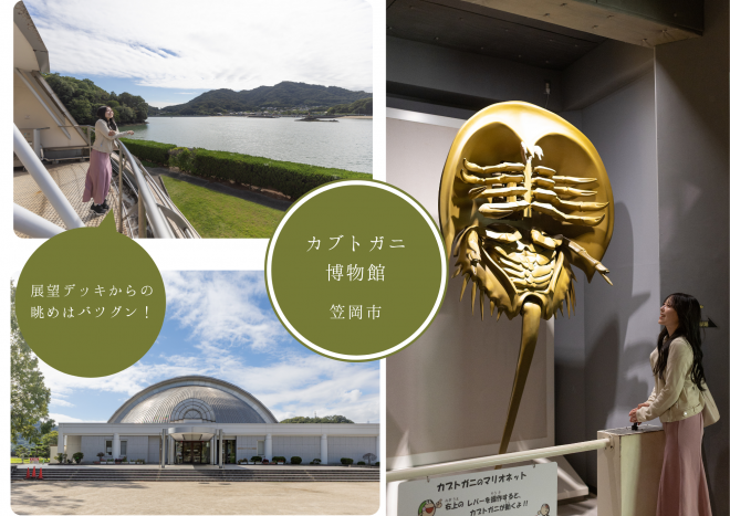 カブトガニ博物館 ぐるっといかさモバイルポイントラリー2025 モデルコース