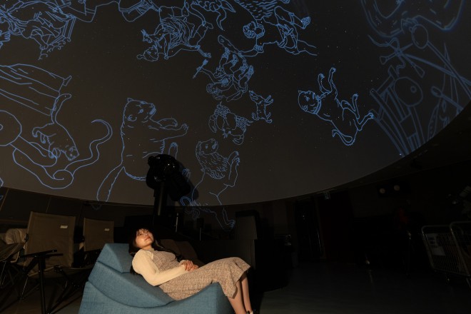 ☆251009莠慕ャ蜊碑ュー莨・7L4A7713