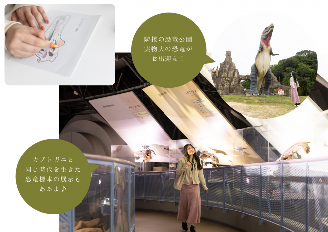 カブトガニ博物館 ぐるっといかさモバイルポイントラリー2025 モデルコース